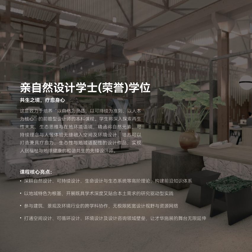 3D设计 brochure page 11
